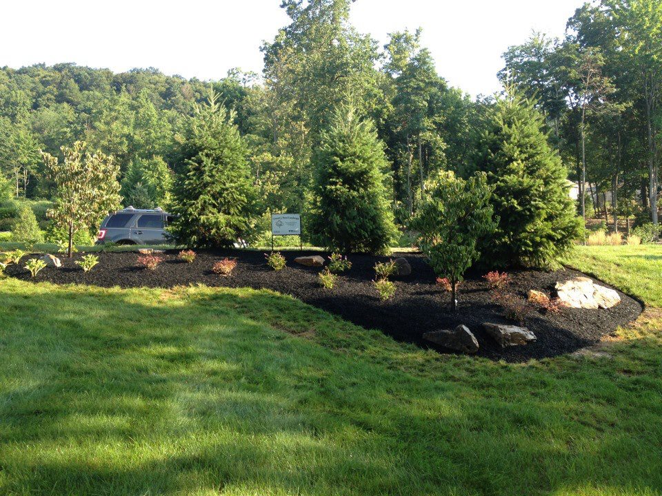 Get Best Reed Landscaping Companies in Harrisburg Pa!